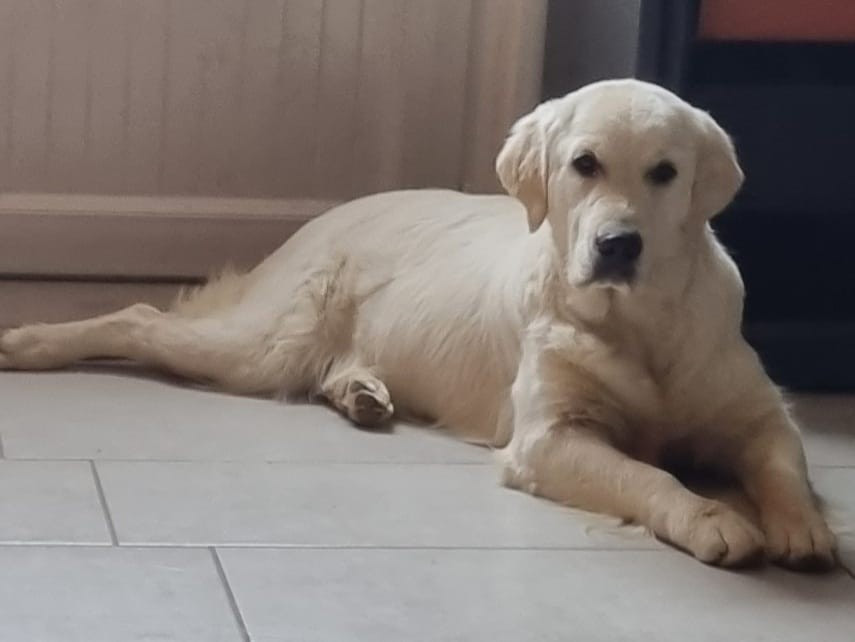 tchin tchin master of water