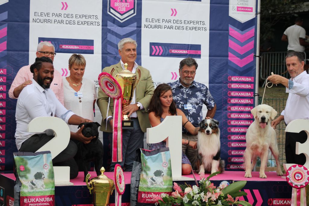 des Romarins de Mayerling - best in show