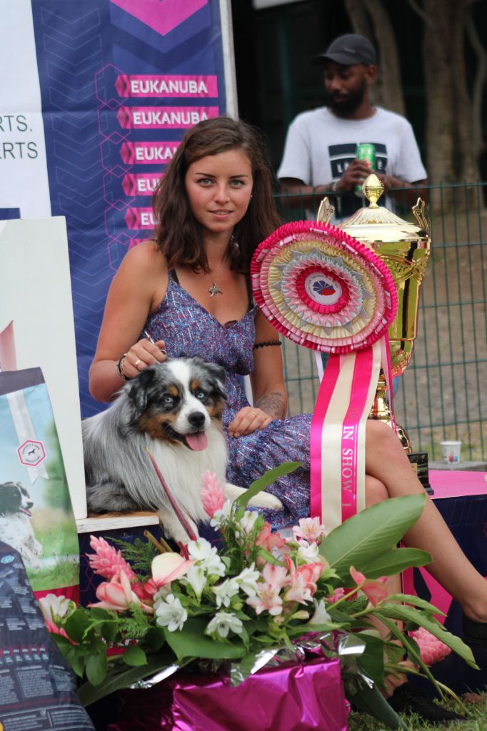 des Romarins de Mayerling - 3 eme du best in show
